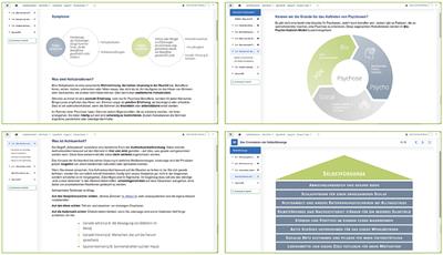 Internet-based psychoeducation and support programme for relatives of young people with early psychosis: results of the first German-language intervention